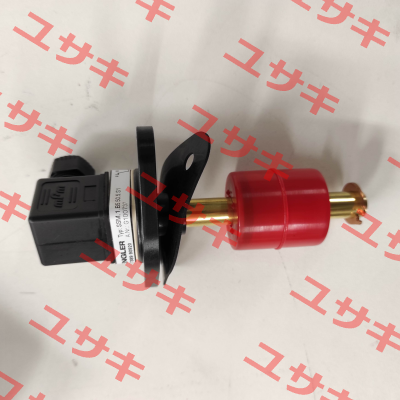 SSM.1.B5.50.5.S1, G100737 Engler