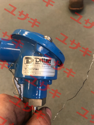 156081 Dittmer