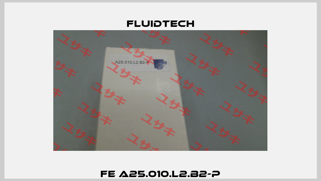 FE A25.010.L2.B2-P Fluidtech
