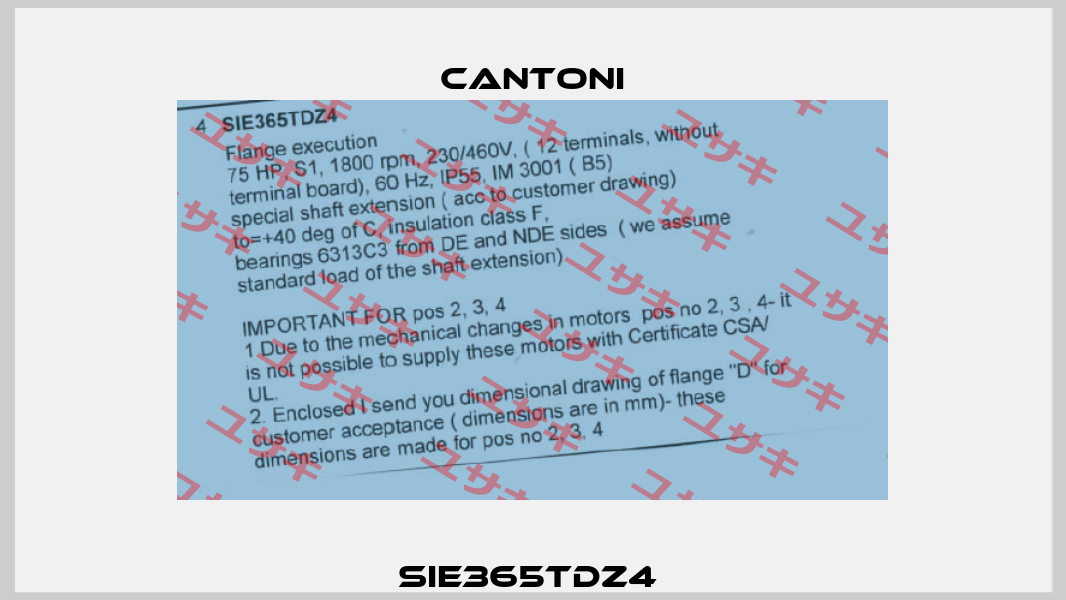 SIE365TDZ4  Cantoni