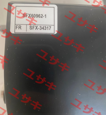 SFX60962-1 Bijur Delimon