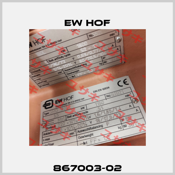 867003-02 Ew Hof