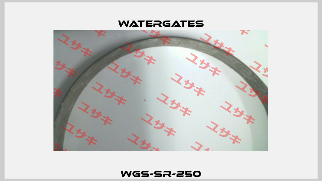 WGS-SR-250 Watergates