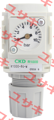 R1000-8G-G3 Ckd