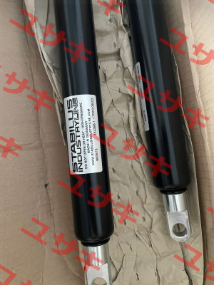 683573 Stabilus