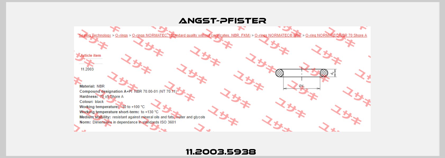 11.2003.5938  Angst-Pfister