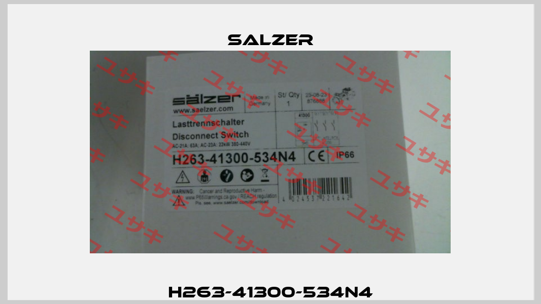 H263-41300-534N4 Salzer