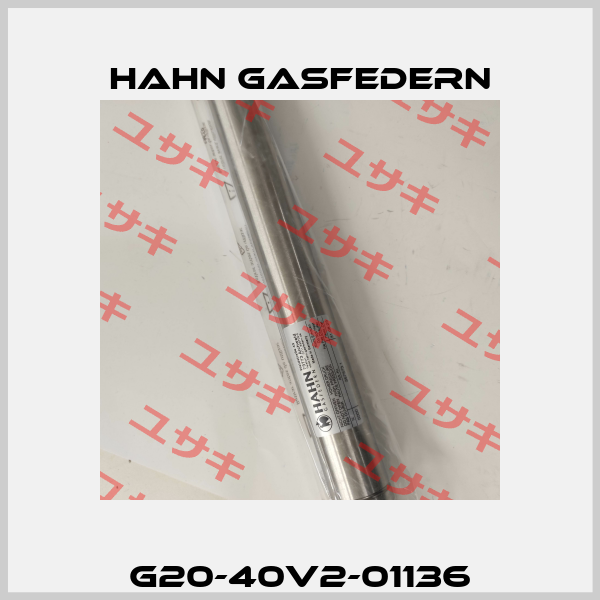 G20-40V2-01136 Hahn Gasfedern