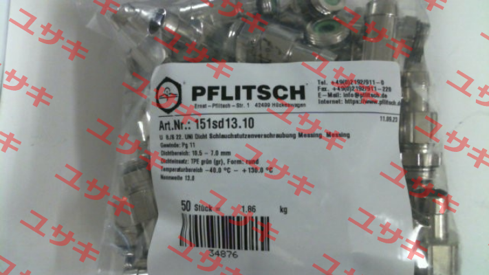 151sd13.10 PFLITSCH