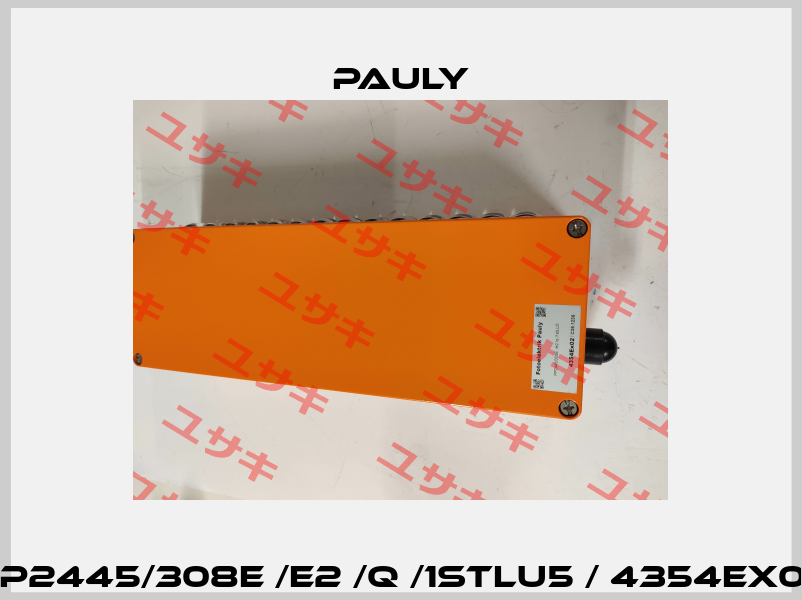 PP2445/308E /e2 /q /1stLU5 / 4354EX02 Pauly