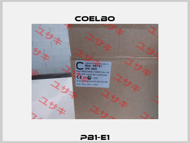 PB1-E1 COELBO