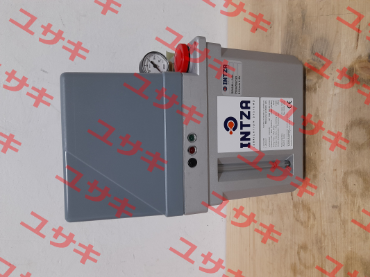 GE02/B-1-7421 Intza