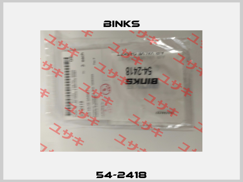 54-2418 Binks