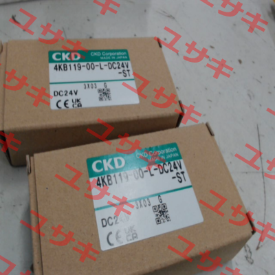 4KB119-00-L-DC24V Ckd